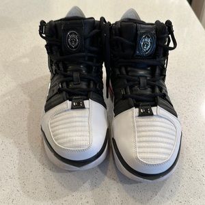 Lebron 3 Shoes